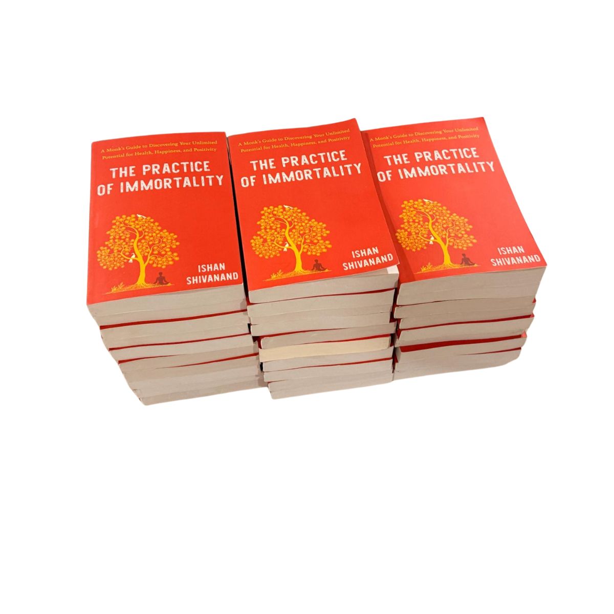 The Practice of Immortality: A Monk’s Guide to Discovering Your Unlimited Potential for Health, Happiness, and Positivity
