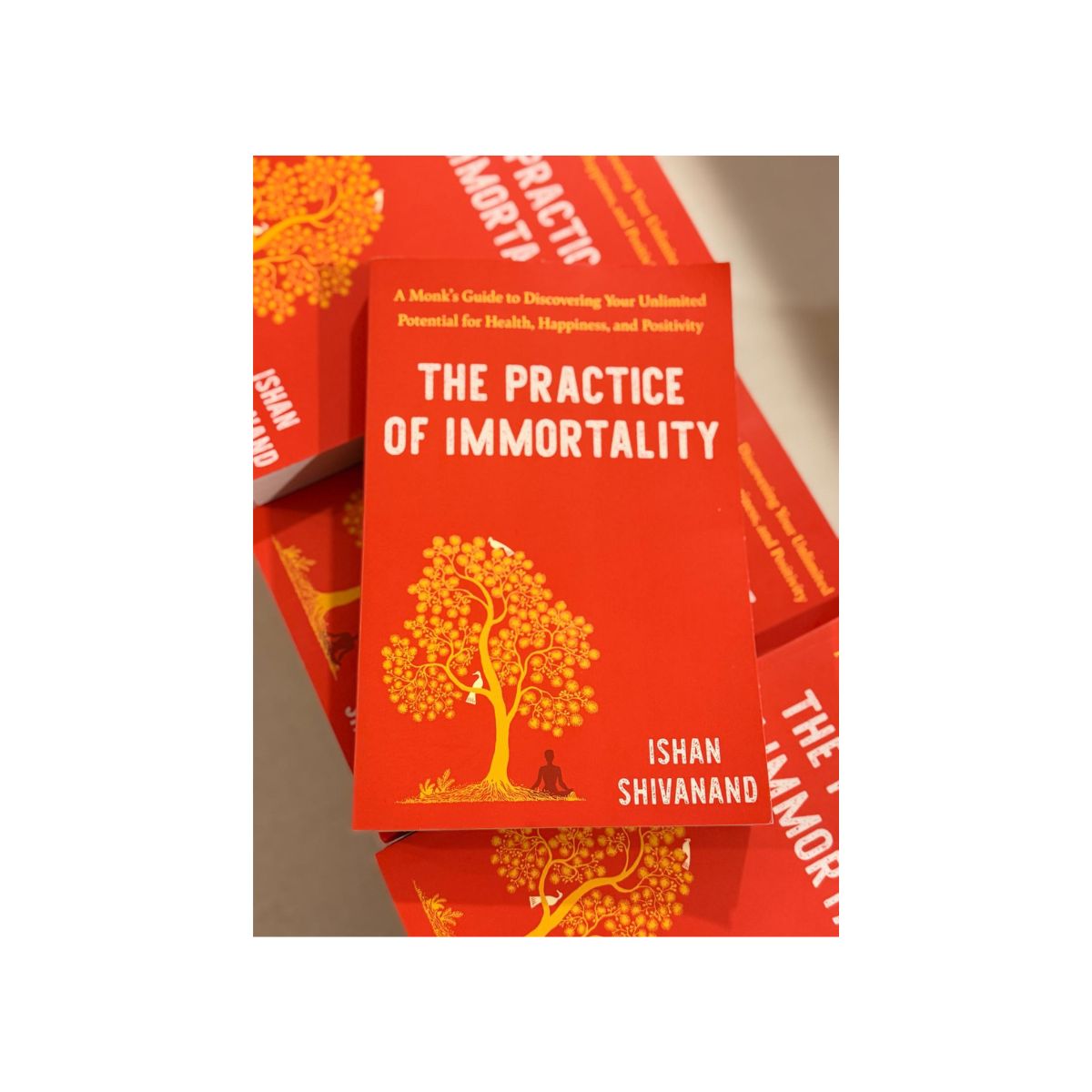 The Practice of Immortality: A Monk’s Guide to Discovering Your Unlimited Potential for Health, Happiness, and Positivity