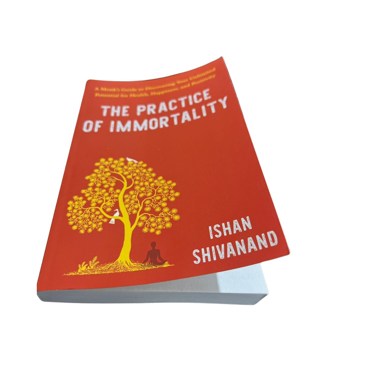 The Practice of Immortality: A Monk’s Guide to Discovering Your Unlimited Potential for Health, Happiness, and Positivity